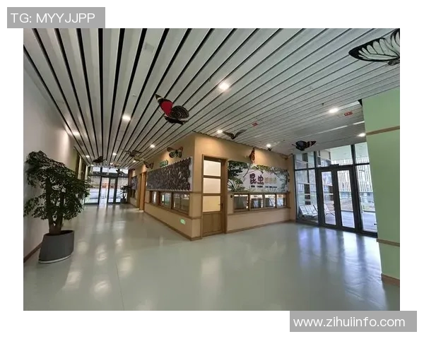 张宁：在科技与艺术交汇处的创新探索之旅