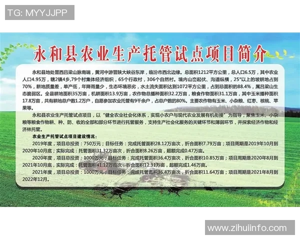 张丰林:从普通农民到现代农业先锋的奋斗历程与启示 张丰林:从普通农民到现代农业先锋的奋斗历程与启示