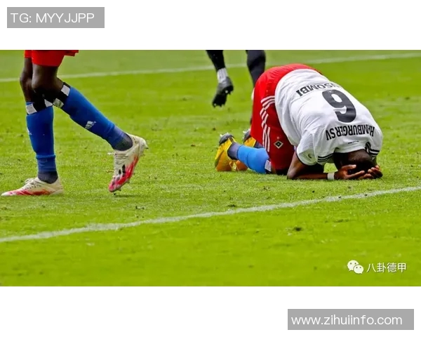 以主场之力，汉堡止颓势迎胜利