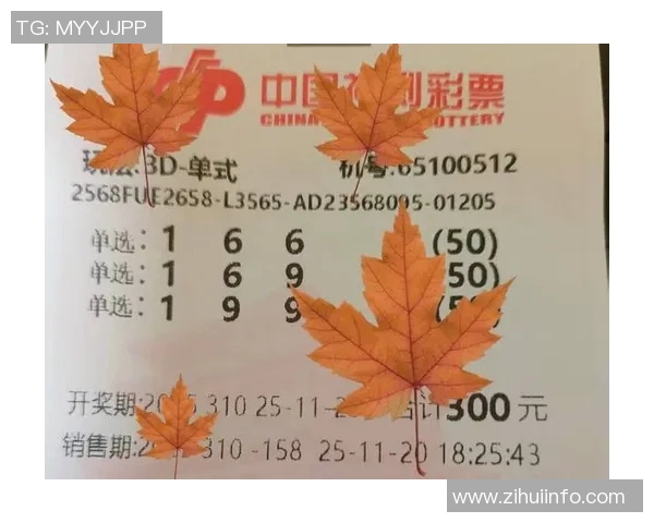 探索中国福利彩票3D字谜的奥秘与技巧助你轻松选号中大奖 探索中国福利彩票3D字谜的奥秘与技巧助你轻松选号中大奖